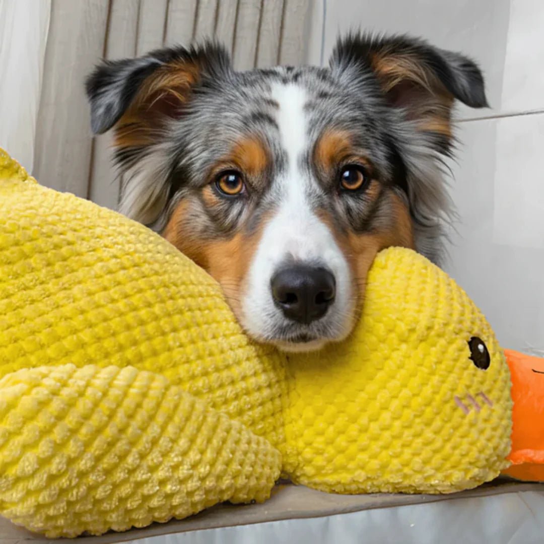 Doudou Canard Apaisant – Compagnon Anti - Stress - TribupetsGrandDoudou Canard Apaisant – Compagnon Anti - Stress