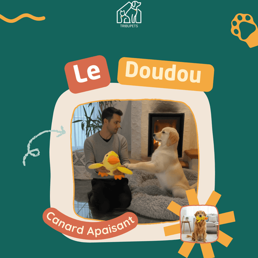 Doudou Canard Apaisant – Compagnon Anti - Stress - TribupetsPetitDoudou Canard Apaisant – Compagnon Anti - Stress