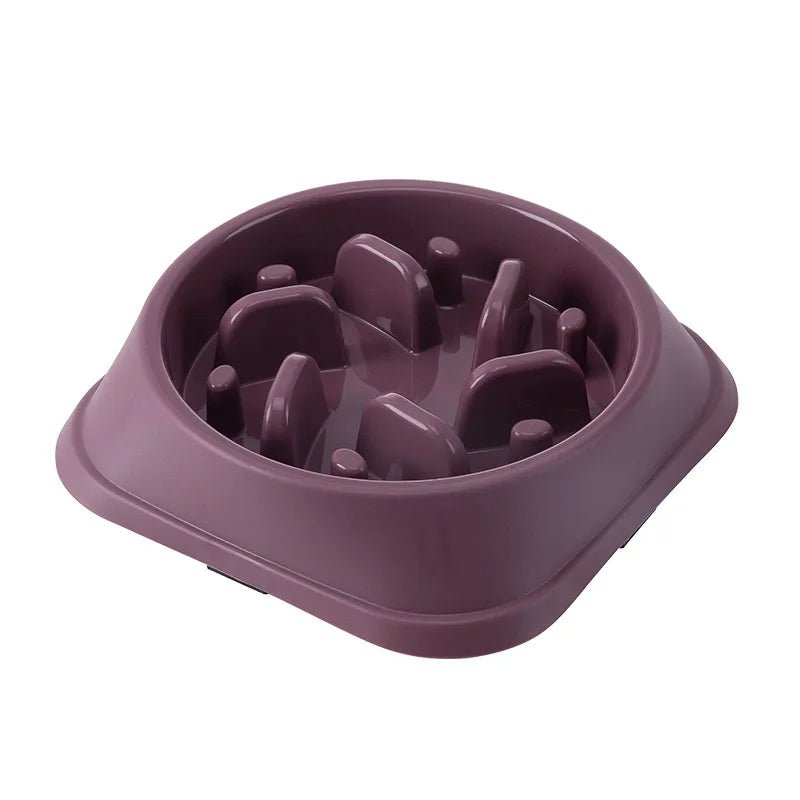 Gamelle Anti - Glouton Labyrinthe – Digestion Saine - TribupetsPicture color 8Gamelle Anti - Glouton Labyrinthe – Digestion Saine