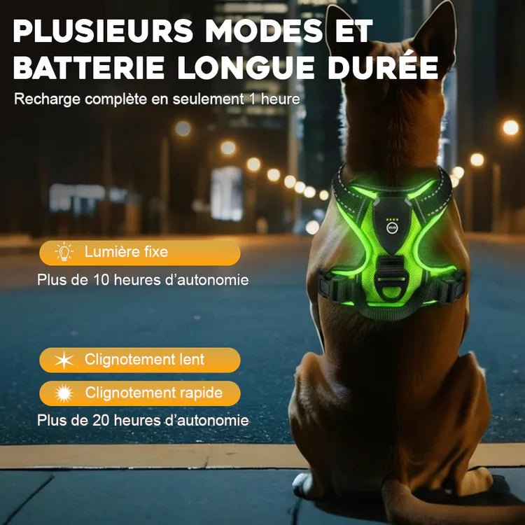 Harnais lumineux pour chien - Réglable, rechargeable et sans traction - TribupetsMVertHarnais lumineux pour chien - Réglable, rechargeable et sans traction - Harnais lumineux pour chien - Réglable, rechargeable et sans traction