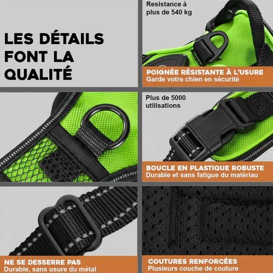 Harnais lumineux pour chien - Réglable, rechargeable et sans traction - TribupetsMVertHarnais lumineux pour chien - Réglable, rechargeable et sans traction