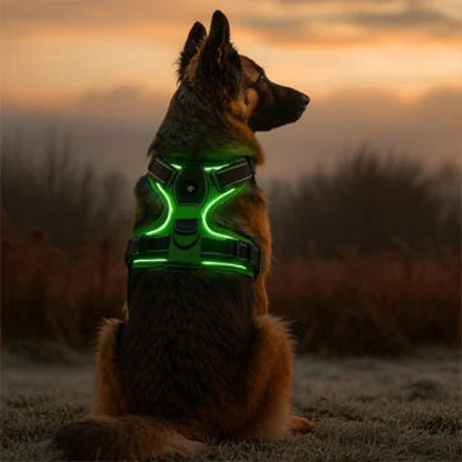 Harnais lumineux pour chien - Réglable, rechargeable et sans traction - TribupetsMVertHarnais lumineux pour chien - Réglable, rechargeable et sans traction