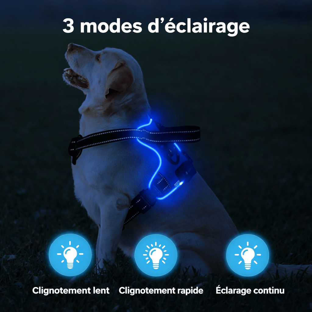Harnais lumineux pour chien - Réglable, rechargeable et sans traction - TribupetsMVertHarnais lumineux pour chien - Réglable, rechargeable et sans traction