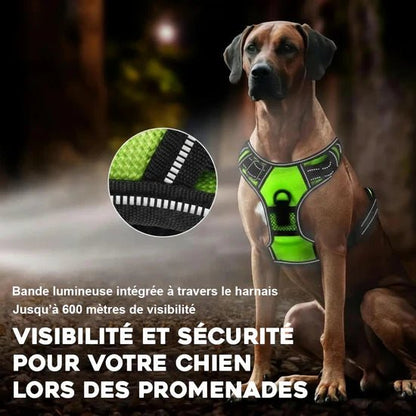 Harnais lumineux pour chien - Réglable, rechargeable et sans traction - TribupetsMVertHarnais lumineux pour chien - Réglable, rechargeable et sans traction