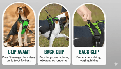 Harnais lumineux pour chien - Réglable, rechargeable et sans traction - TribupetsMVertHarnais lumineux pour chien - Réglable, rechargeable et sans traction