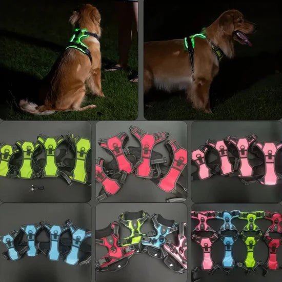 Harnais lumineux pour chien - Réglable, rechargeable et sans traction - TribupetsMVertHarnais lumineux pour chien - Réglable, rechargeable et sans traction