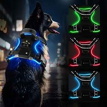 Harnais lumineux pour chien - Réglable, rechargeable et sans traction - TribupetsMVertHarnais lumineux pour chien - Réglable, rechargeable et sans traction