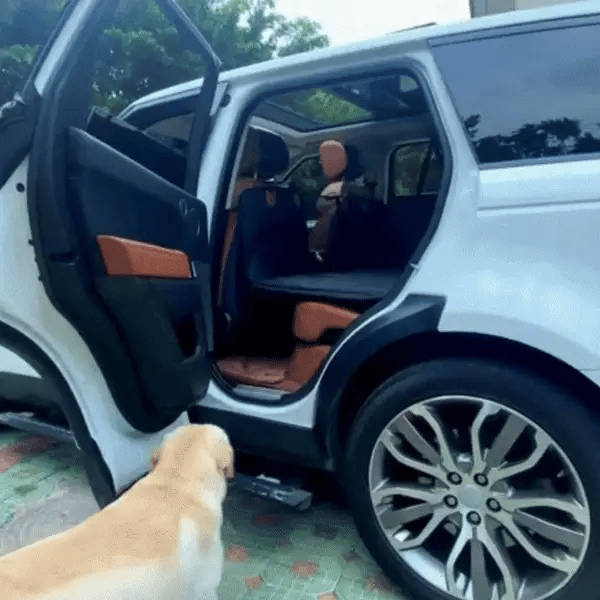 Housse de siège auto - TribuHamac imperméable pour chien - TribupetsTaille uniqueHousse de siège auto - TribuHamac imperméable pour chien